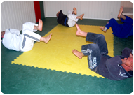 RocknRoll Brazilian Jiu Jitsu Private Lessons and Personal Training in Orange County, California RocknRoll Brazilian Jiu Jitsu Private Lessons and Personal Training in Orange County, California