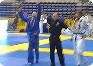 RocknRoll Brazilian Jiu Jitsu Private Lessons and Personal Training in Orange County, California