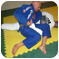 Contact RocknRoll Brazilian Jiu Jitsu and Personal Training