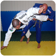 RocknRoll Brazilian Jiu Jitsu Private Lessons - Technical Flow Program RocknRoll Brazilian Jiu Jitsu and Personal Training
