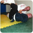 RocknRoll Brazilian Jiu Jitsu and Personal Training